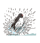 アデリーペンギンのまいにち（個別スタンプ：28）