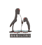 アデリーペンギンのまいにち（個別スタンプ：35）