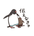 アデリーペンギンのまいにち（個別スタンプ：37）