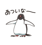 アデリーペンギンのまいにち（個別スタンプ：38）
