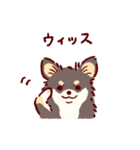 さいきょうのチワワ（個別スタンプ：3）