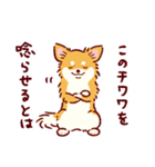 さいきょうのチワワ（個別スタンプ：5）