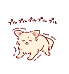 さいきょうのチワワ（個別スタンプ：7）