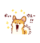 さいきょうのチワワ（個別スタンプ：8）
