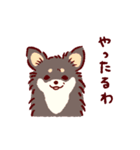 さいきょうのチワワ（個別スタンプ：9）