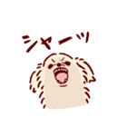 さいきょうのチワワ（個別スタンプ：12）