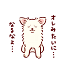 さいきょうのチワワ（個別スタンプ：13）