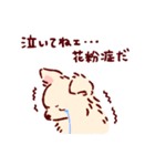 さいきょうのチワワ（個別スタンプ：15）