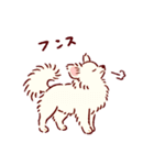 さいきょうのチワワ（個別スタンプ：17）