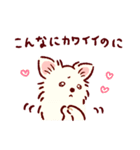 さいきょうのチワワ（個別スタンプ：18）