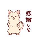 さいきょうのチワワ（個別スタンプ：19）