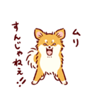 さいきょうのチワワ（個別スタンプ：21）