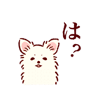 さいきょうのチワワ（個別スタンプ：24）