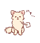 さいきょうのチワワ（個別スタンプ：30）