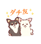 さいきょうのチワワ（個別スタンプ：32）