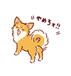 さいきょうのチワワ（個別スタンプ：33）