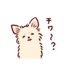 さいきょうのチワワ（個別スタンプ：34）