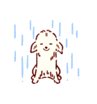 さいきょうのチワワ（個別スタンプ：38）