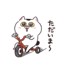 【動く！】ねこちゃんだもの6（個別スタンプ：16）
