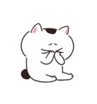 【動く！】ねこちゃんだもの6（個別スタンプ：23）