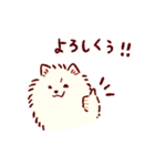 さいきょうのポメラニアン（個別スタンプ：2）