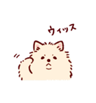 さいきょうのポメラニアン（個別スタンプ：3）