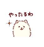 さいきょうのポメラニアン（個別スタンプ：9）