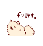 さいきょうのポメラニアン（個別スタンプ：11）