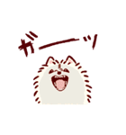 さいきょうのポメラニアン（個別スタンプ：12）