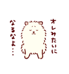 さいきょうのポメラニアン（個別スタンプ：13）