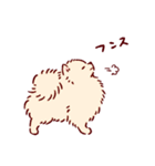 さいきょうのポメラニアン（個別スタンプ：17）