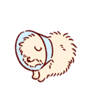 さいきょうのポメラニアン（個別スタンプ：23）
