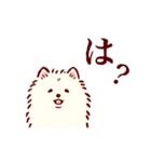さいきょうのポメラニアン（個別スタンプ：24）