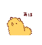 さいきょうのポメラニアン（個別スタンプ：36）