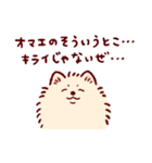 さいきょうのポメラニアン（個別スタンプ：39）