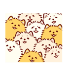 さいきょうのポメラニアン（個別スタンプ：40）