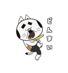 ねこリーマン（日常使い）（個別スタンプ：24）