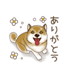 笑う門には♡柴犬さん【やや辛口】（個別スタンプ：2）