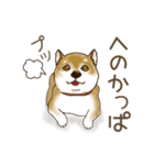 笑う門には♡柴犬さん【やや辛口】（個別スタンプ：4）