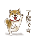 笑う門には♡柴犬さん【やや辛口】（個別スタンプ：7）
