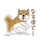 笑う門には♡柴犬さん【やや辛口】（個別スタンプ：9）