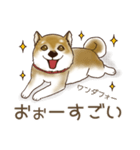 笑う門には♡柴犬さん【やや辛口】（個別スタンプ：10）
