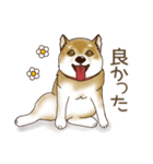 笑う門には♡柴犬さん【やや辛口】（個別スタンプ：11）