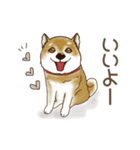 笑う門には♡柴犬さん【やや辛口】（個別スタンプ：12）