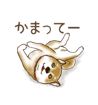 笑う門には♡柴犬さん【やや辛口】（個別スタンプ：14）
