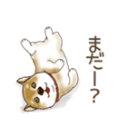 笑う門には♡柴犬さん【やや辛口】（個別スタンプ：15）