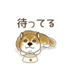 笑う門には♡柴犬さん【やや辛口】（個別スタンプ：16）