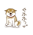 笑う門には♡柴犬さん【やや辛口】（個別スタンプ：20）