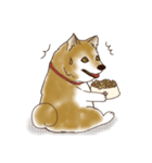 笑う門には♡柴犬さん【やや辛口】（個別スタンプ：25）