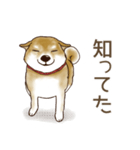 笑う門には♡柴犬さん【やや辛口】（個別スタンプ：26）